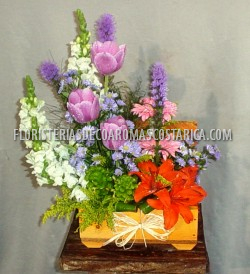 Arreglos de Flores Floristeria Decoaromas Costa Rica