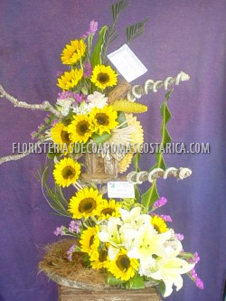 Arreglos de Flores Floristeria Decoaromas Costa Rica