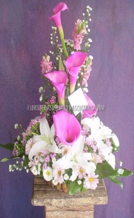 Arreglos de Flores Floristeria Decoaromas Costa Rica