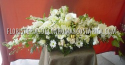 Arreglos de Flores Floristeria Decoaromas Costa Rica