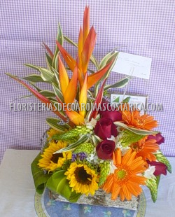 Arreglos de Flores Floristeria Decoaromas Costa Rica