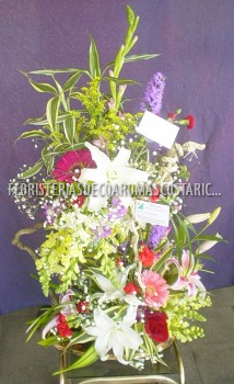 Arreglos de Flores Floristeria Decoaromas Costa Rica