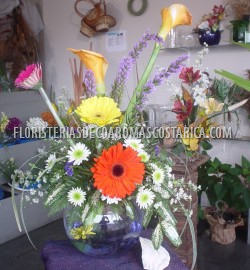 Arreglos de Flores Floristeria Decoaromas Costa Rica