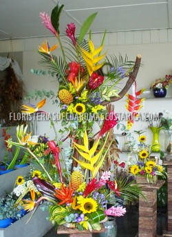 Arreglos de Flores Floristeria Decoaromas Costa Rica