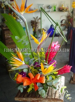 Arreglos de Flores Floristeria Decoaromas Costa Rica