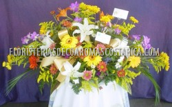 Arreglos de Flores Floristeria Decoaromas Costa Rica