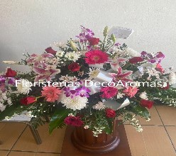 Arreglos de Flores Floristeria Decoaromas Costa Rica