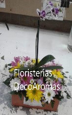 Arreglo Floristeria Decoaromas Costa Rica
