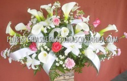 Arreglos de Flores Floristeria Decoaromas Costa Rica