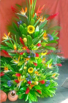 Arreglos de Flores Floristeria Decoaromas Costa Rica