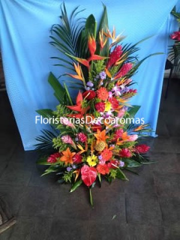 Floristeria Decoaromas Envio Arreglos y Ramos de Flores en Costa Rica