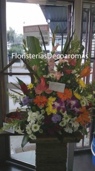 Arreglos de Flores Floristeria Decoaromas Costa Rica