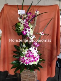 Arreglo Floristeria Decoaromas Costa Rica